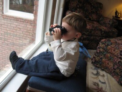 The Great Backyard Bird Count is Back Image